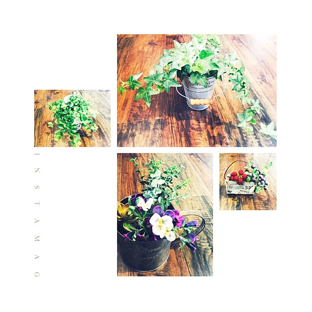 myauskaiさんの実例写真