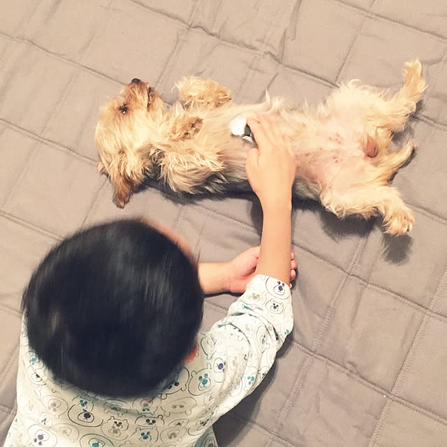 ohanaさんの実例写真
