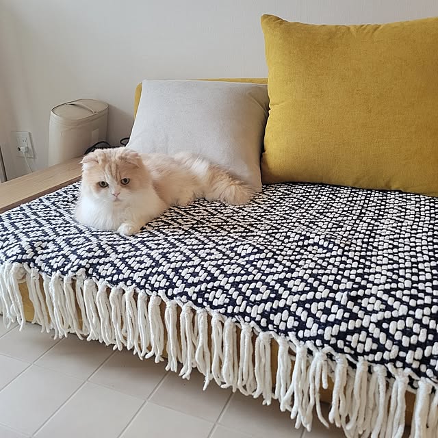 nonさんの実例写真