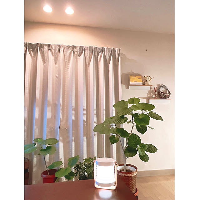 kuruMiさんの実例写真