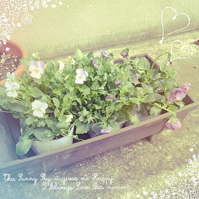 mama-chuchuさんの実例写真