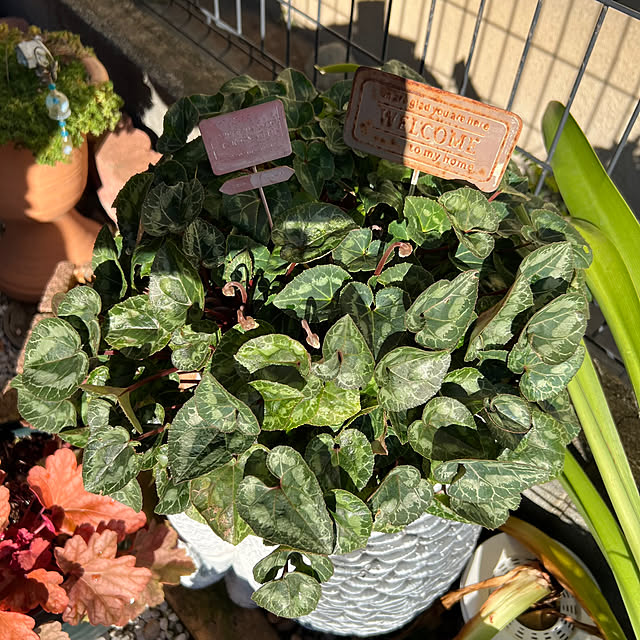 nannoさんの部屋