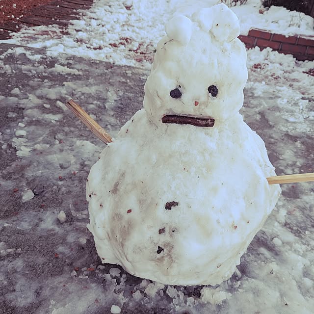 gin-chanさんの実例写真