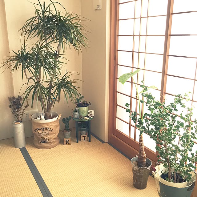 Inoruさんの実例写真