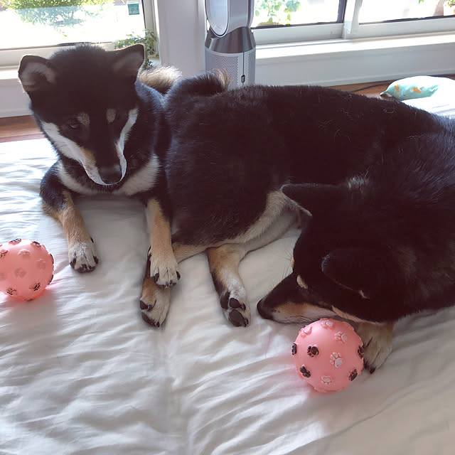 nuruiさんの実例写真