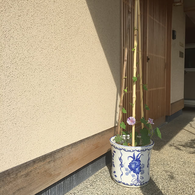 Masaさんの実例写真