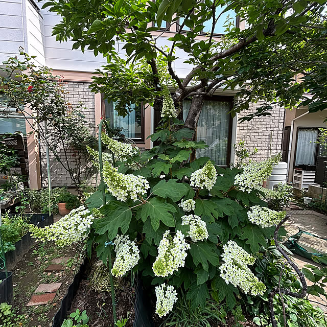 botanさんの実例写真
