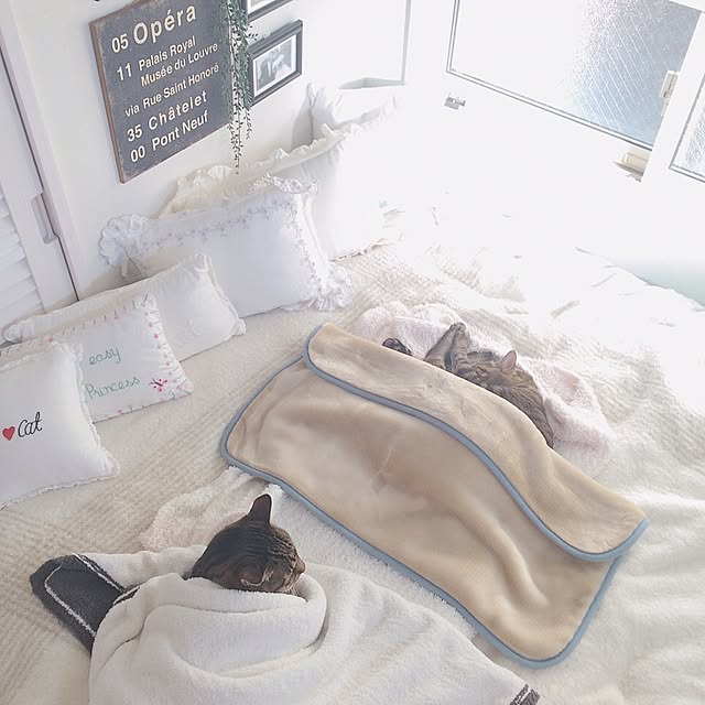lovecatさんの実例写真