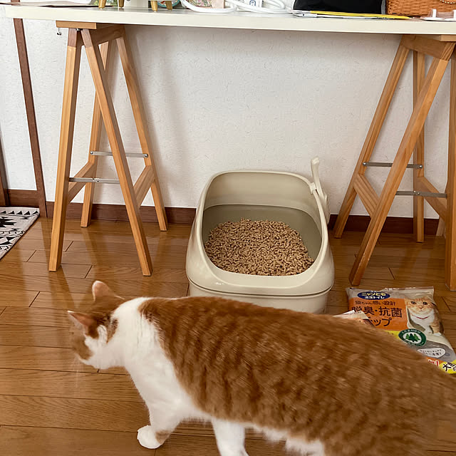 uni48さんの部屋