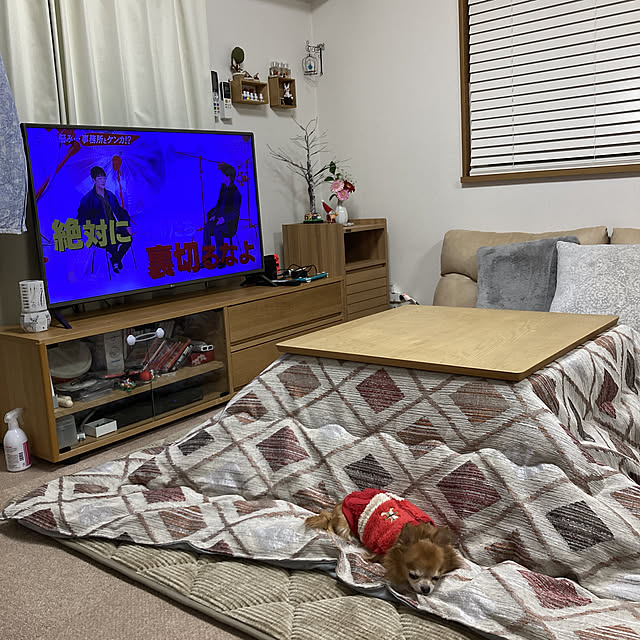 koroさんの実例写真