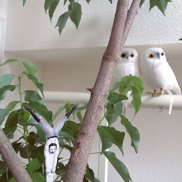 ne_neさんの実例写真