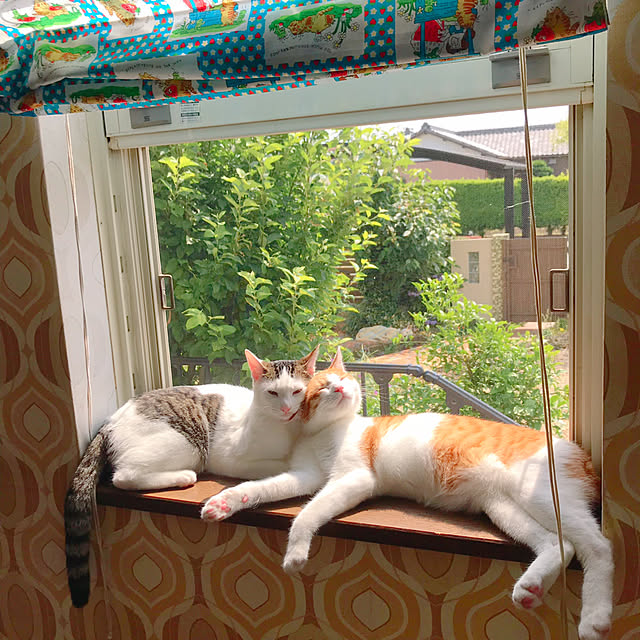 meさんの実例写真