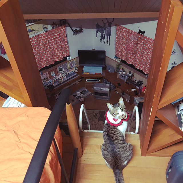 jijiさんの実例写真