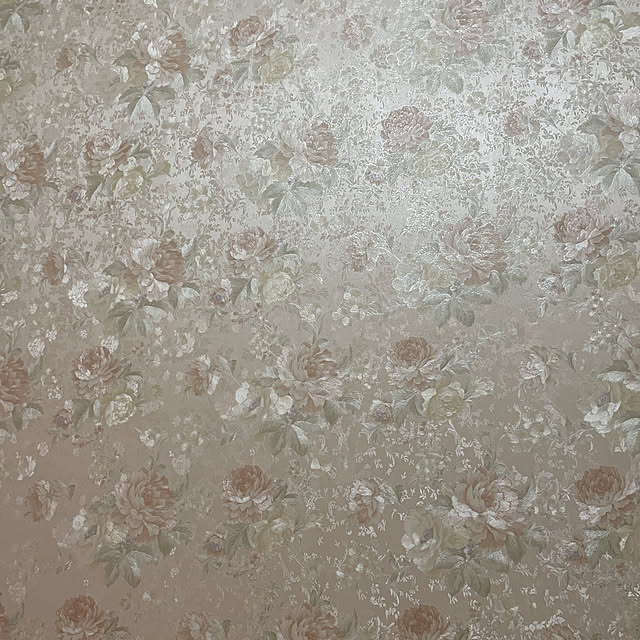 himeiさんの実例写真