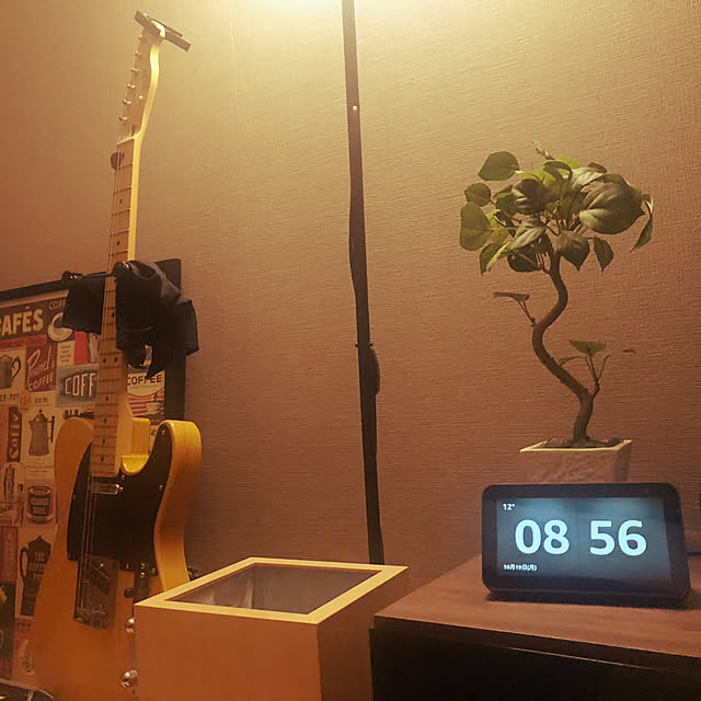 kurtさんの実例写真