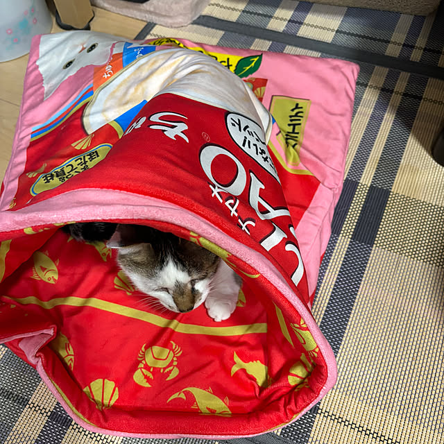 kuntaさんの部屋