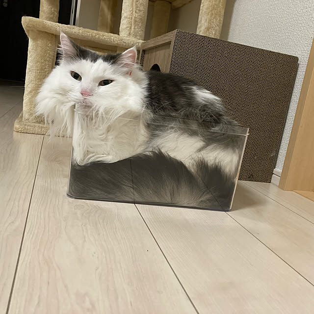 aiさんの実例写真