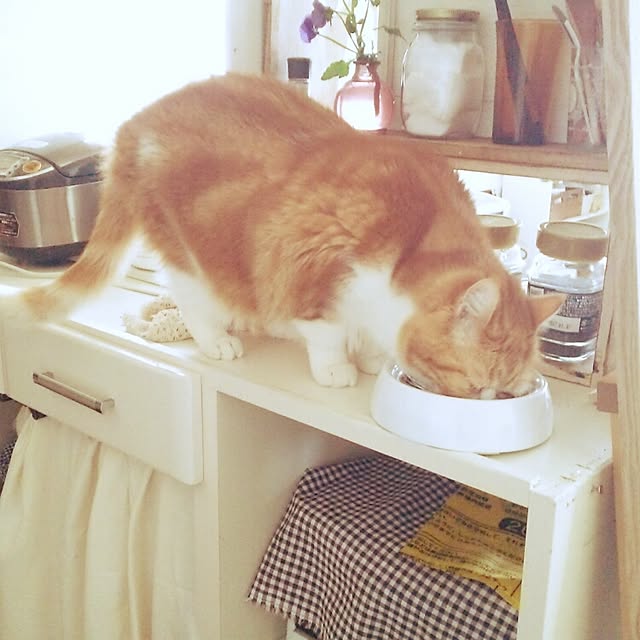otoさんの実例写真