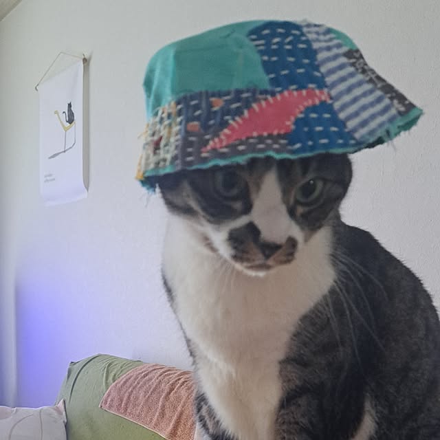 shinoさんの部屋