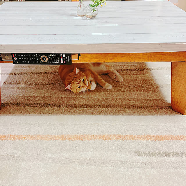 moolさんの実例写真