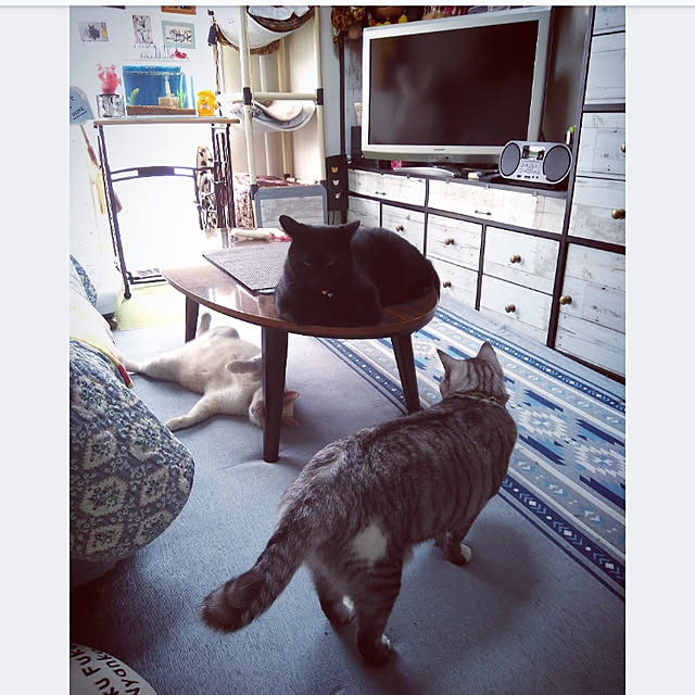 mntcさんの実例写真