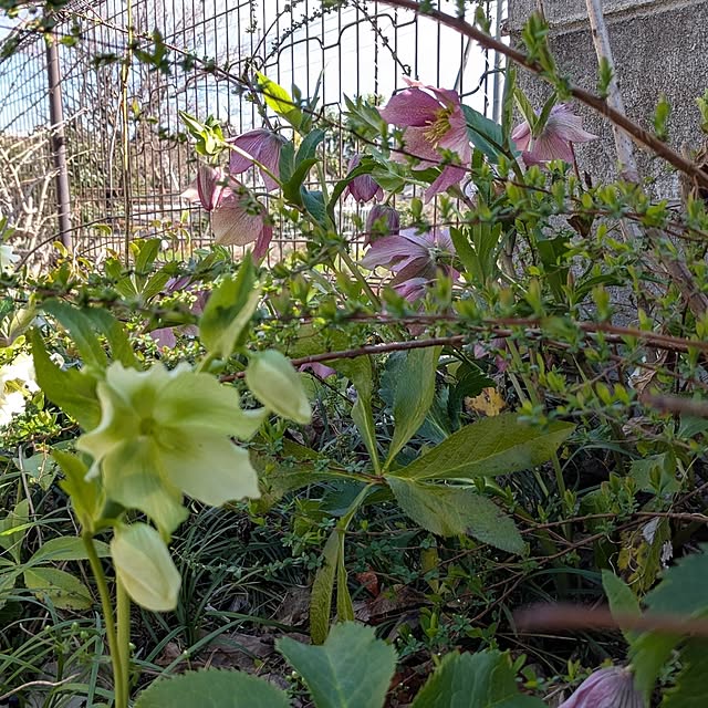 kouheiyuto24623takaさんの実例写真