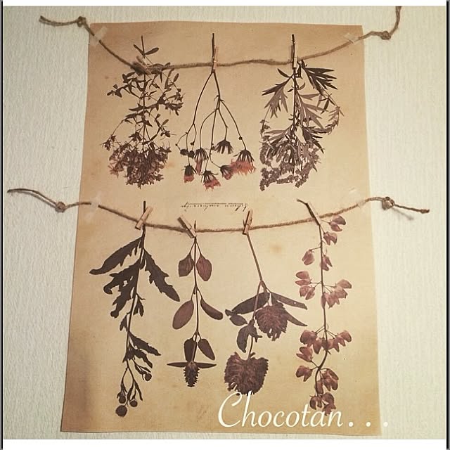 choco_tanさんの実例写真