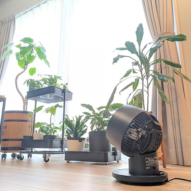 naoporonさんの部屋
