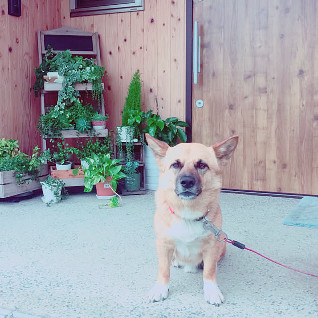 kunkunさんの実例写真