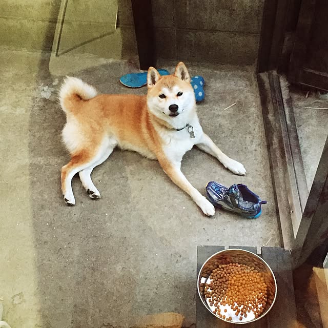 fruity anさんの実例写真