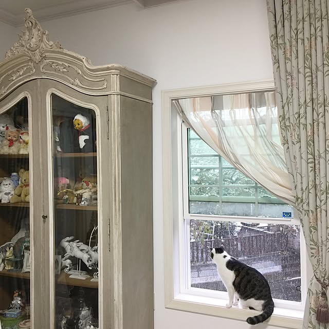 yuchiさんの実例写真