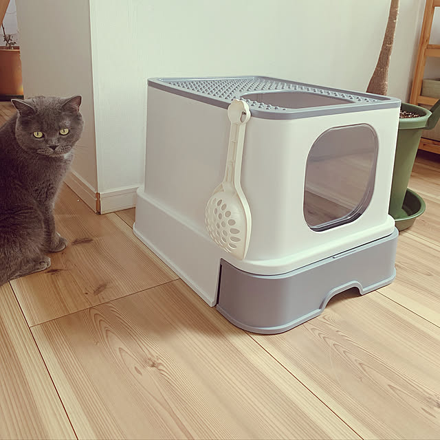 gmdw00aさんの実例写真