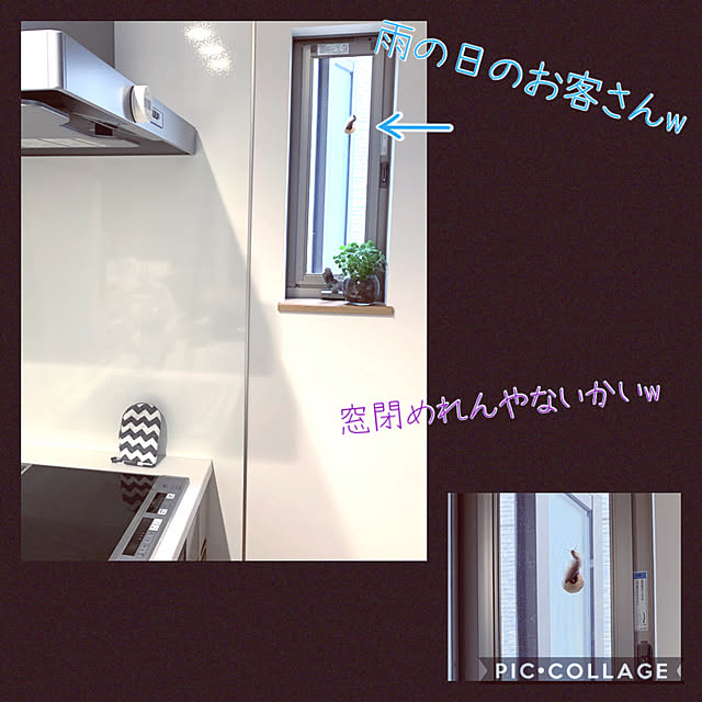 rikubo-さんの実例写真