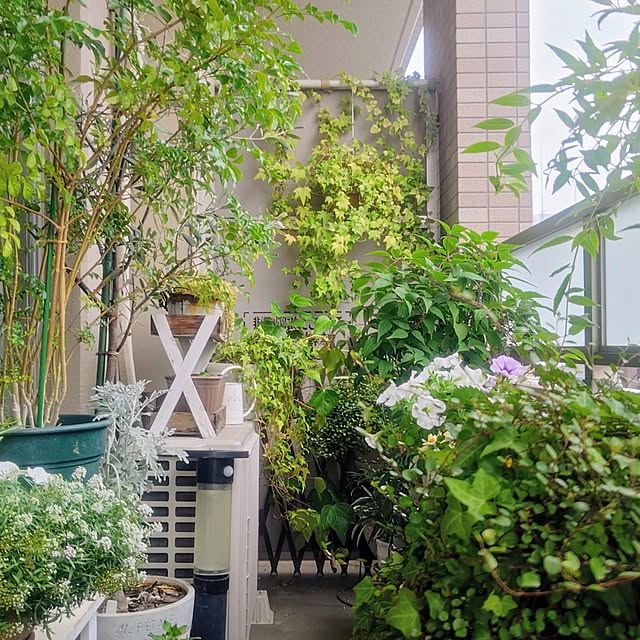 YuriYuriさんの部屋