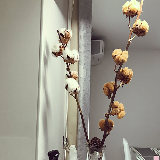 ayapu77さんの実例写真