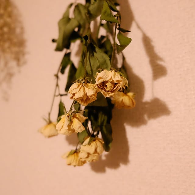 chihiroさんの実例写真
