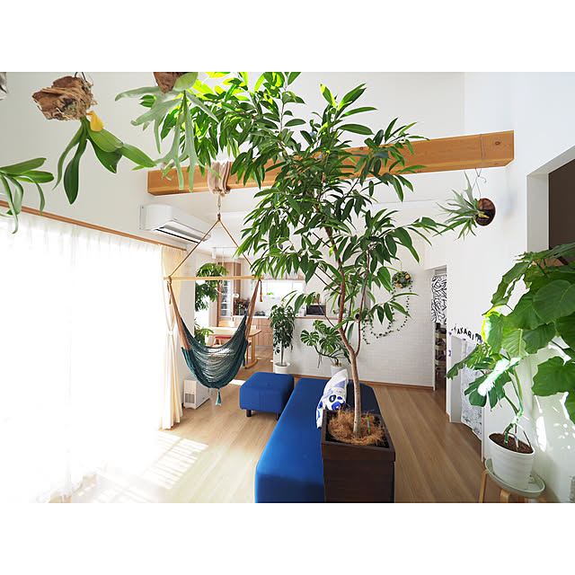 a_tankoさんの実例写真