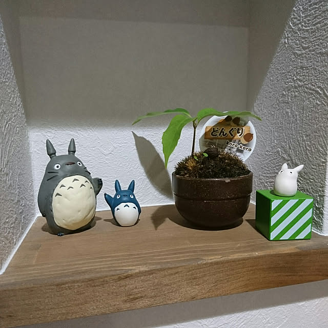 wuncさんの実例写真