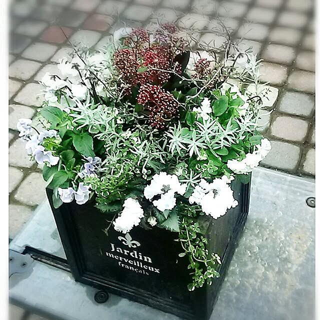 portulacaさんの実例写真