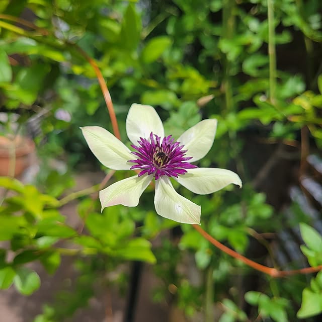 mimi828さんの部屋