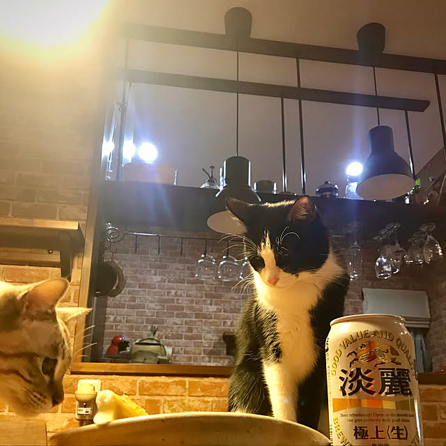 butachanさんの実例写真