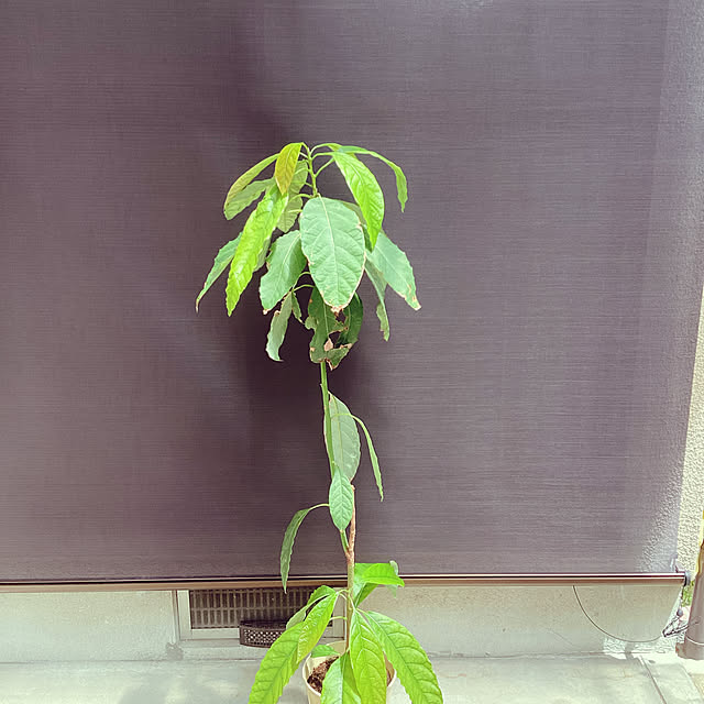 richanさんの部屋