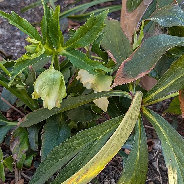 Maroさんの実例写真