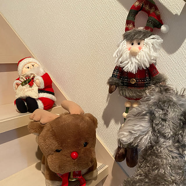 alchoさんの実例写真