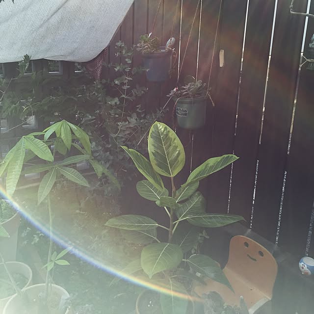 minomonさんの実例写真