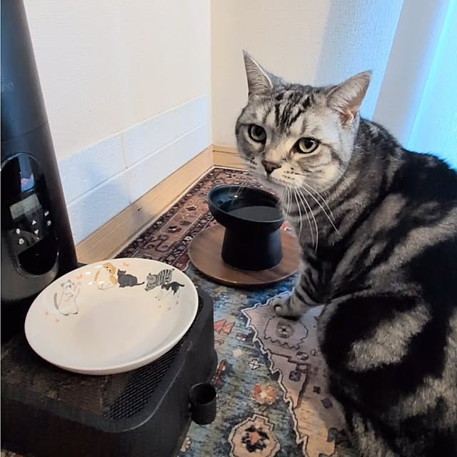 lovepeaceさんの実例写真