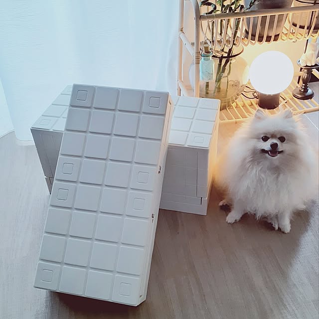noahさんの実例写真