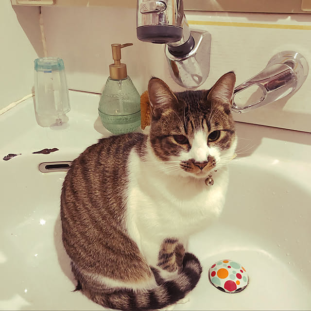 jijiさんの実例写真