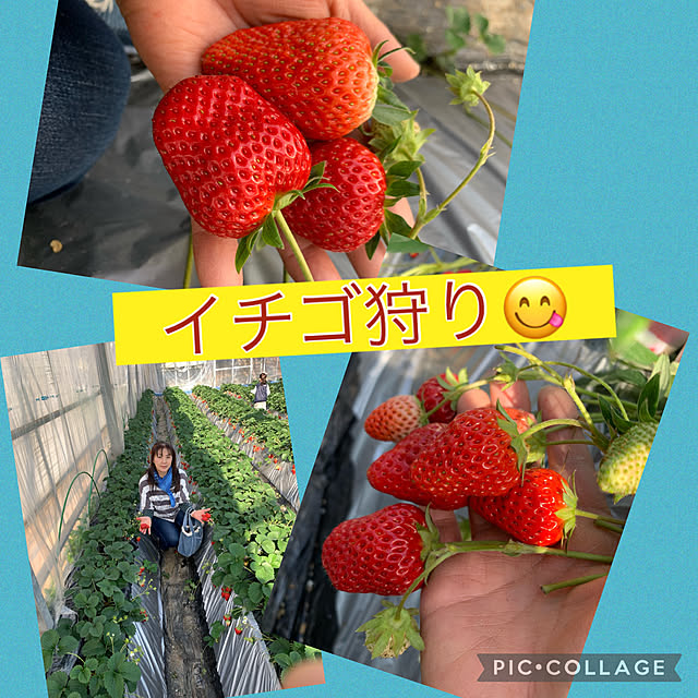 Aqettyさんの部屋