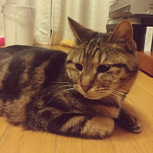lavie0125さんの実例写真
